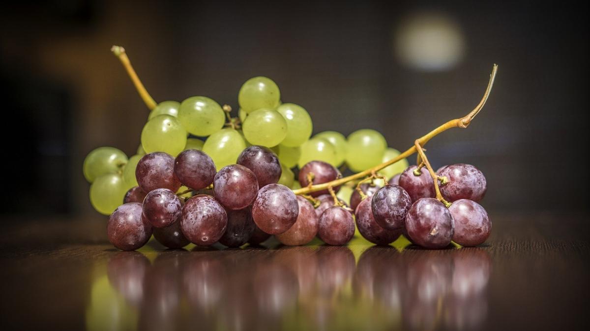 Peru’s Table Grape Exports Set To Hit Record High in 2023/24 Produce